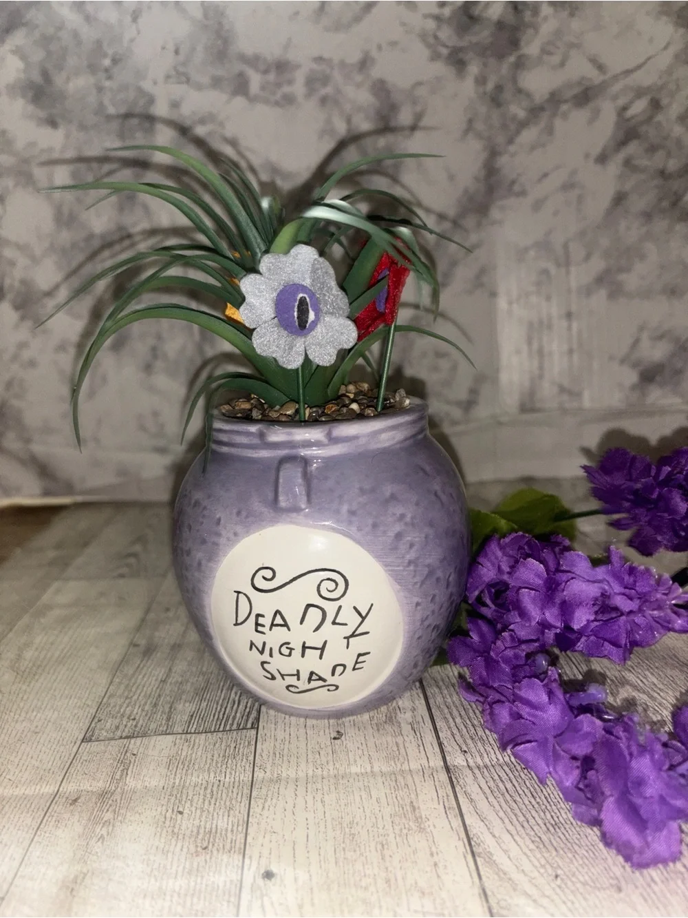 Nightmare before Christmas succulent deadly nightshade